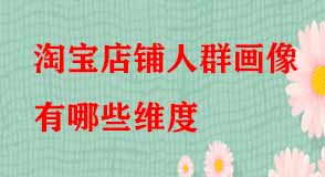 淘寶店鋪人群畫(huà)像有哪些維度