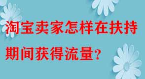 淘寶賣(mài)家怎樣在扶持期間獲得流量